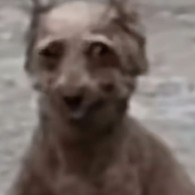 This time, you must win.