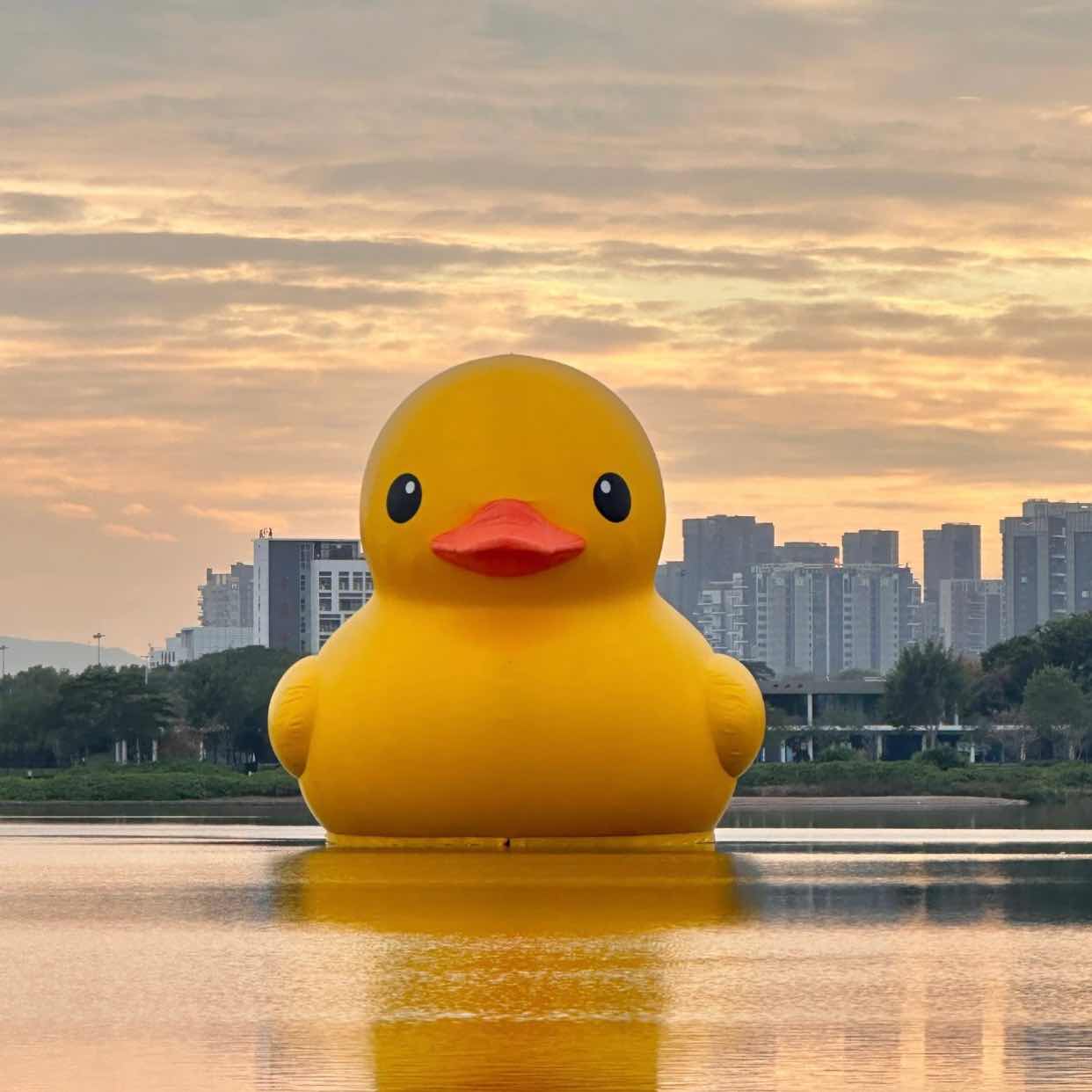 Thank you to all the Duck Nest family members for your trust and support along the way!
This week's performance has been outstanding, thanks to everyone's companionship and execution.
Duck Nest will continue to steadily advance, providing more precise and practical strategies, living up to every bit of trust.
$BTC  ‌$ETH  ‌