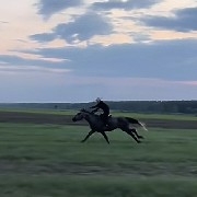 First goal: 10,000 USDT