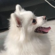 $PI  Don't hit me, I'm broke, only 10 yuan left.