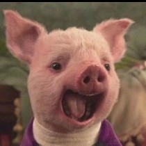 不太会情绪周期