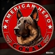 $BTC $ETH $SOL 🔥In the crypto track, most tokens compete on hype, gimmicks, and speculation, only **$CONAN, competing on perseverance, vision, and practicality**.
 
It has long transcended the entertainment nature of ordinary MEME coins, using legendary hero dog Conan as a spiritual carrier, integrating loyalty, bravery, and resilience into the on-chain ecosystem, creating a unique value narrative.
 
The end of MEME is consensus; the end of consensus is the ecosystem.
 
After two years of market refinement, $CONAN has completely shed its air coin label: abandoning short-term arbitrage thinking, focusing on detailed community operations, polishing a comprehensive ecosystem, and building an integrated online and offline promotion matrix. From technical infrastructure to traffic breakout, from consensus accumulation to capital participation, a full-chain closed loop, upgrading in all dimensions.
 
Currently, $CONAN is in the best window period, fully prepared and about to take off.
No hype bubbles, only a solid foundation; no restless speculation, only firm co-creation. The four core barriers remain at the top of the track, becoming the most stable in a bear market and the most promising in a bull market.
 
Winds change, waves wash away the sand, only those with long-term value will stand firm.
$CONAN, breaking through with ironclad consensus, reigning with deep cultivation,
In this new wave of market trends, we will climb to the top together! 🌟🚀🚀🚀🍕🍕🍕 Ending: xBQt
#非农数据超预期加息预期升温 #伊朗袭击以色列 #预测世界杯瓜分20000U 