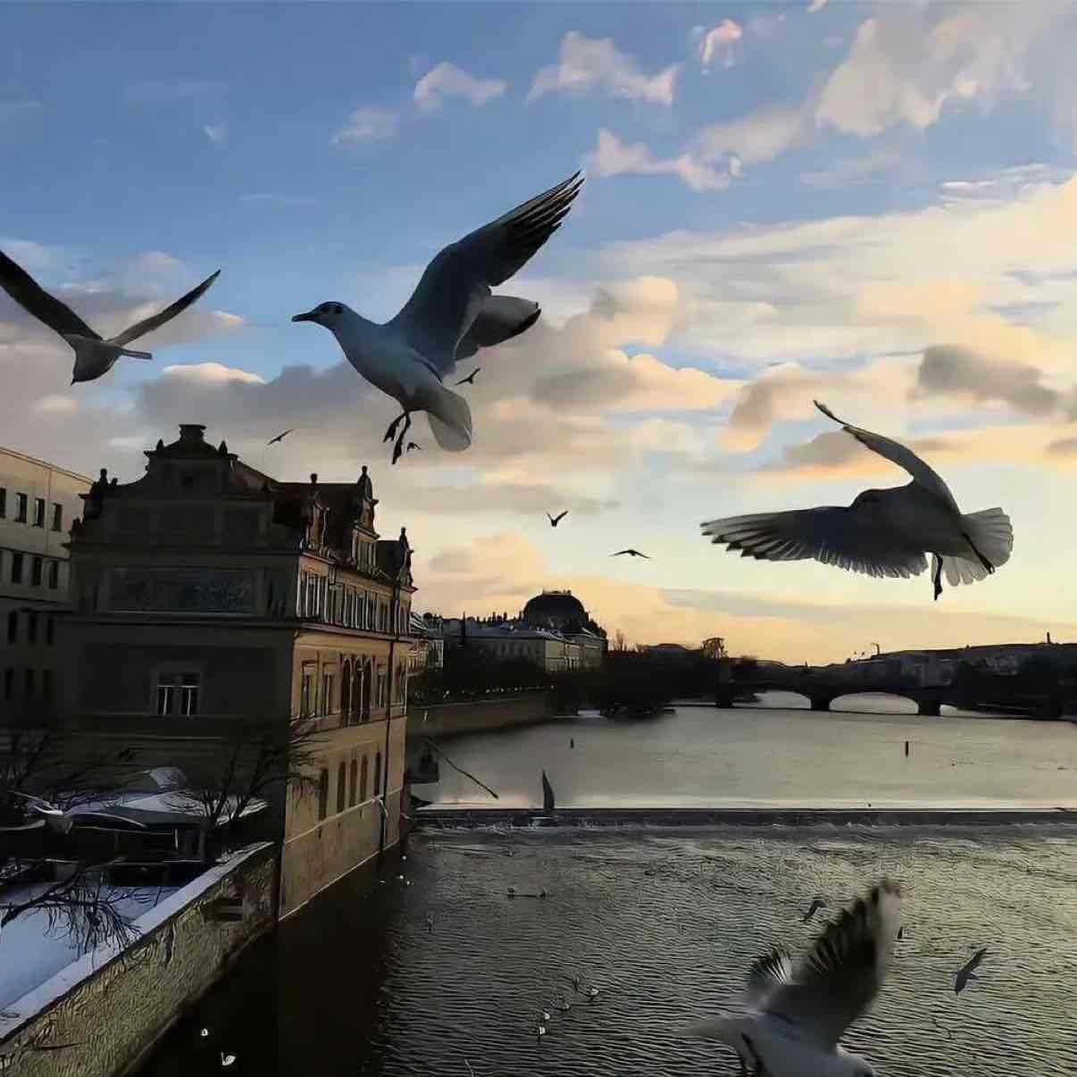 March 7th, Bitcoin Evening Public Strategy
Bitcoin experienced a sharp decline followed by a lower shadow bottoming candlestick, confirming that the support in the 67400-67600 range is effective. However, the rebound did not break through the key resistance at 68200, indicating a weak rebound rather than a trend reversal.
Short-term moving averages are diverging downward, with the price under pressure below the 5-period moving average; RSI is in the 35-40 range, showing a mild recovery after overselling but not entering a strong zone.
Operational suggestion: Rebound to the 68100-68300 range, target 67500-66900
#2月非农意外负增长 
#加密市场小幅下跌 
#原油价格飙升 
#美伊局势影响 