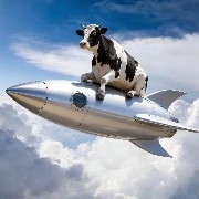 $PI  Leave the indecisive behind.