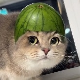 RichLeeks