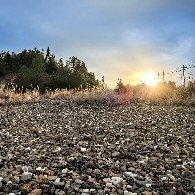 AmorousAndMulti-seed