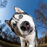 $ETH Northbound or southbound?