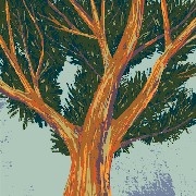 Playing Sol, hitting big wins late at night; playing BSC, digging deep at midnight🤣