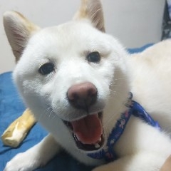 RetireAfterEarning30Million