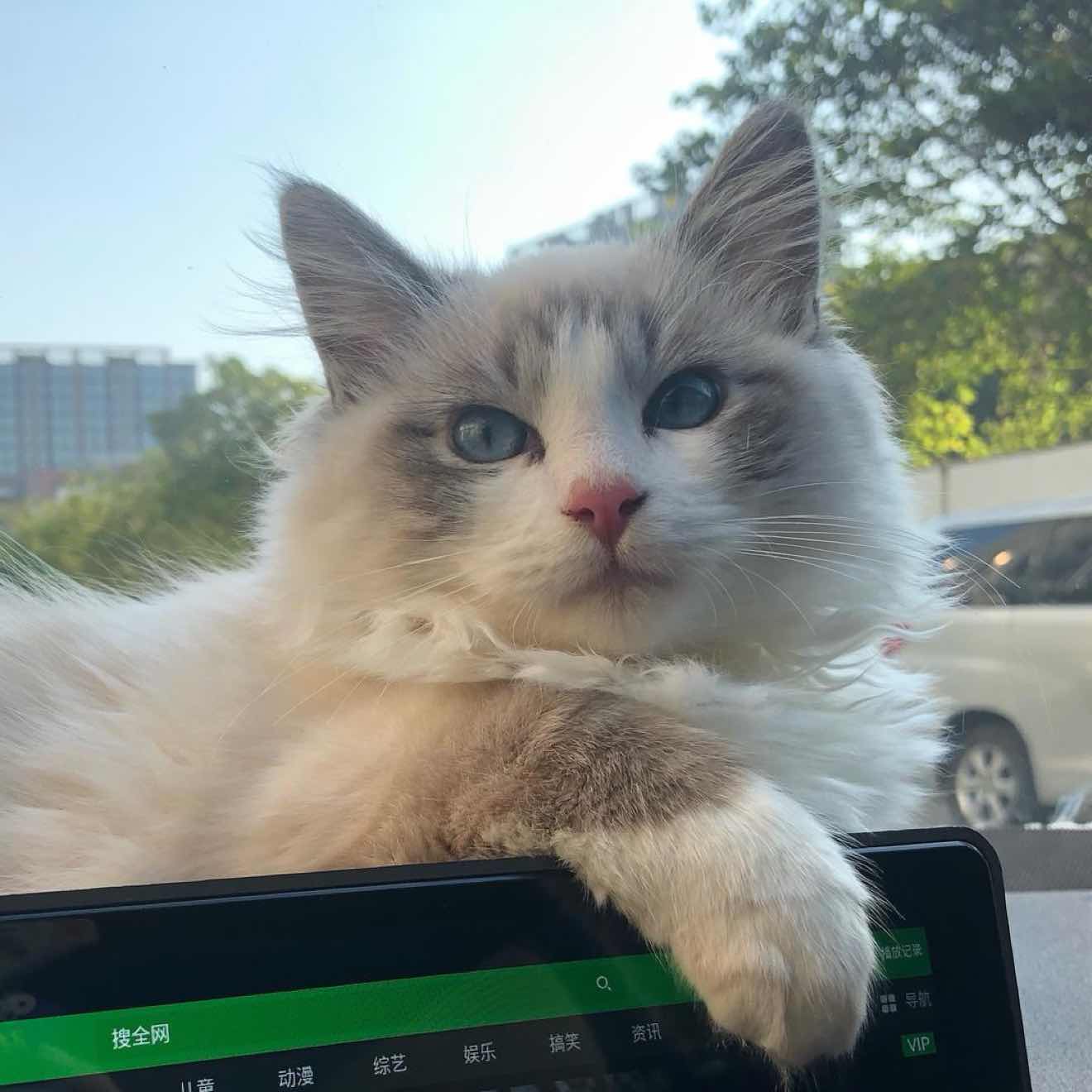 This breakthrough is a big one, let's get a taste of it too, it's all so boring anyway. $ETH 