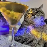 ThorCompoundInterest