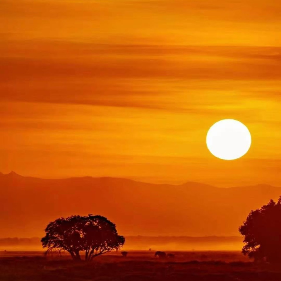 In the live stream, I placed two orders in real-time, took a bite, and shared the order points for overnight placement.