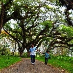 Arrafiraziqalqawiyutomo