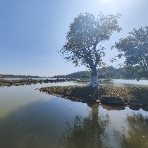 Bitcoin is currently focused on 85700 with recent daily support levels. Swing trading opportunities are around 85300, 84300, and 82690, all of which can be considered for long positions. The second coin around 2824 is also suitable for swing trading. The main focus remains on Bitcoin, and any stabilization at key levels can be considered for a position.