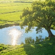 water88