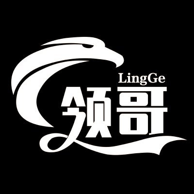 领哥LingGe