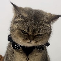 #ETH  Long entry at 2930, stop loss 2880, take profit 3030-3050
Short entry at 3070, stop loss 3100 (take profit 2970, second target 2930)