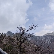 EternalWilderness