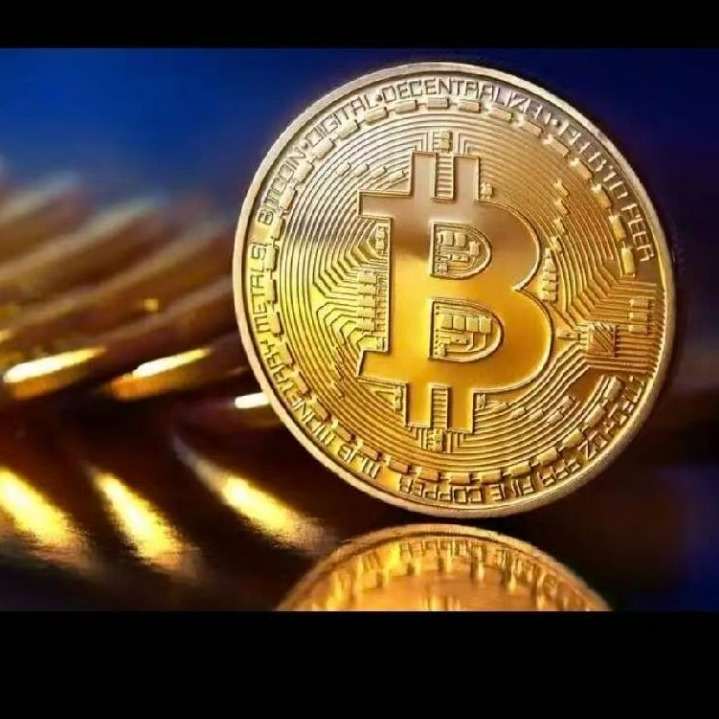 Bitcoin'sSteadyHoldings