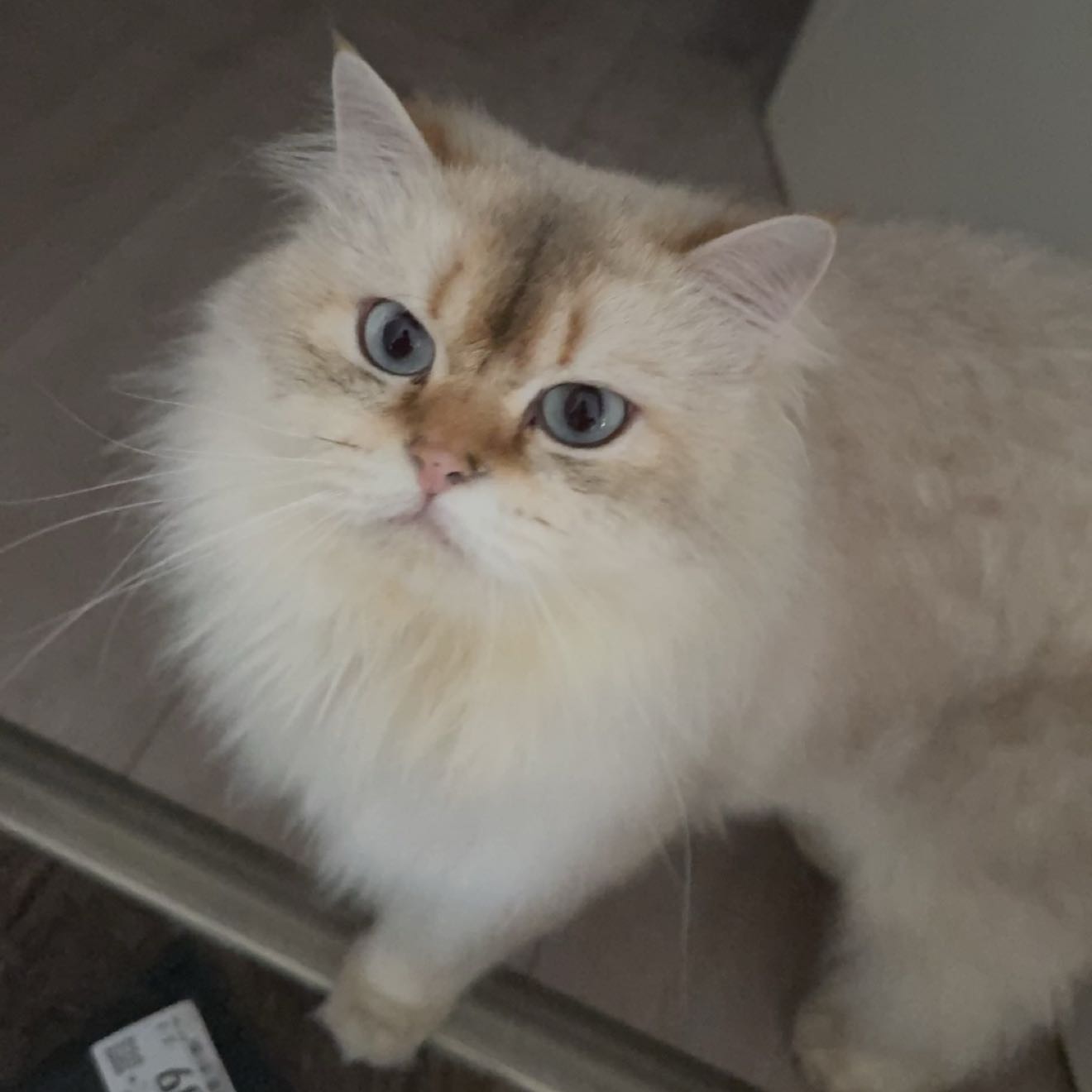 TradeCryptocurrenciesUsing