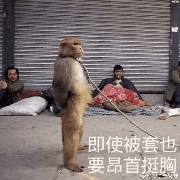 收破烂收没人要的垃几币