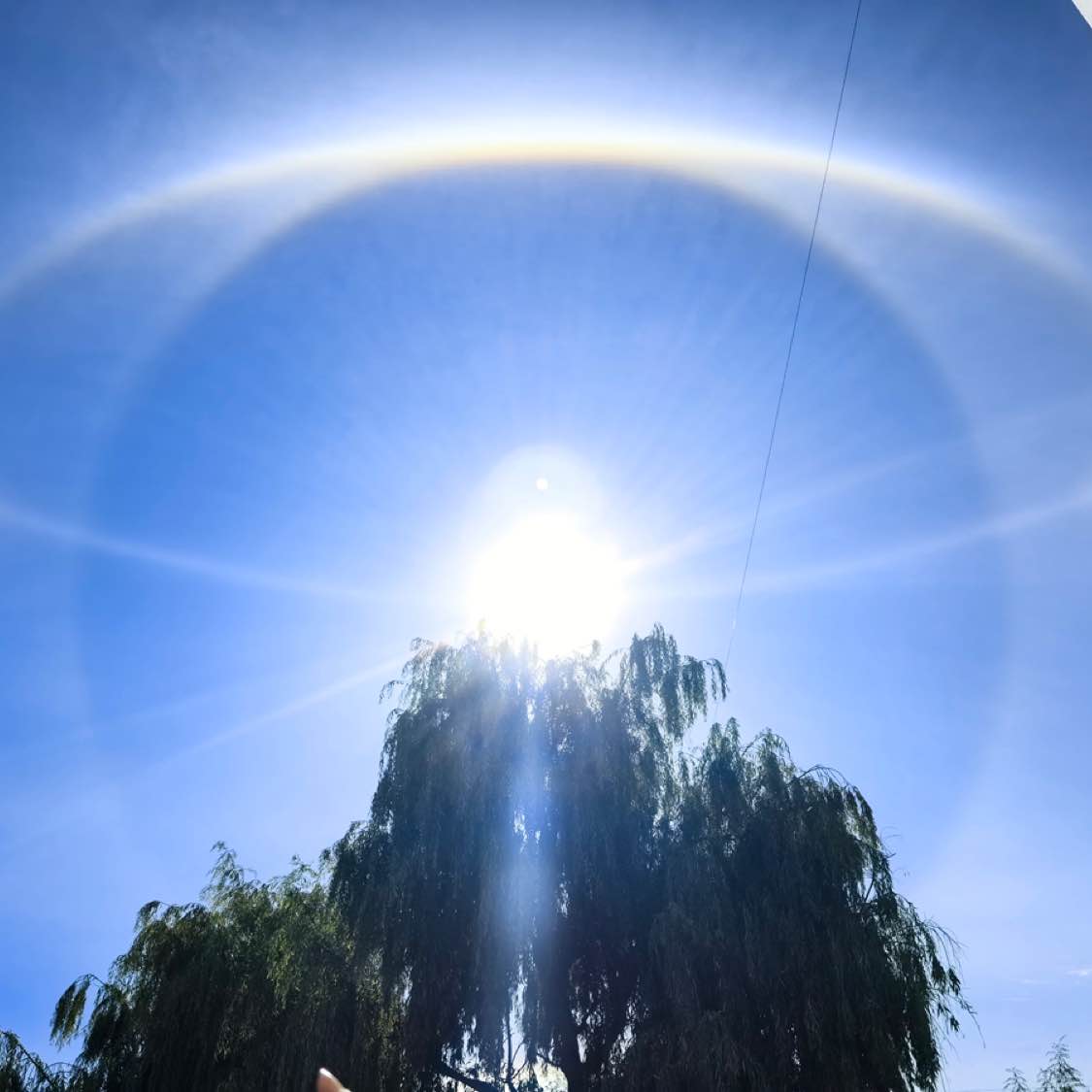 $PI  Haha, just kidding.