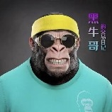 BrotherBlackBull\'S100XLive