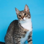 ImmortalXiaoqiang001