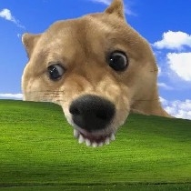 StillFallingForKnockoff