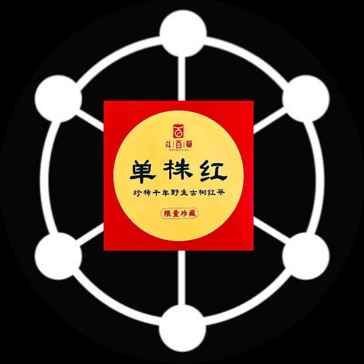 NatStarShuai