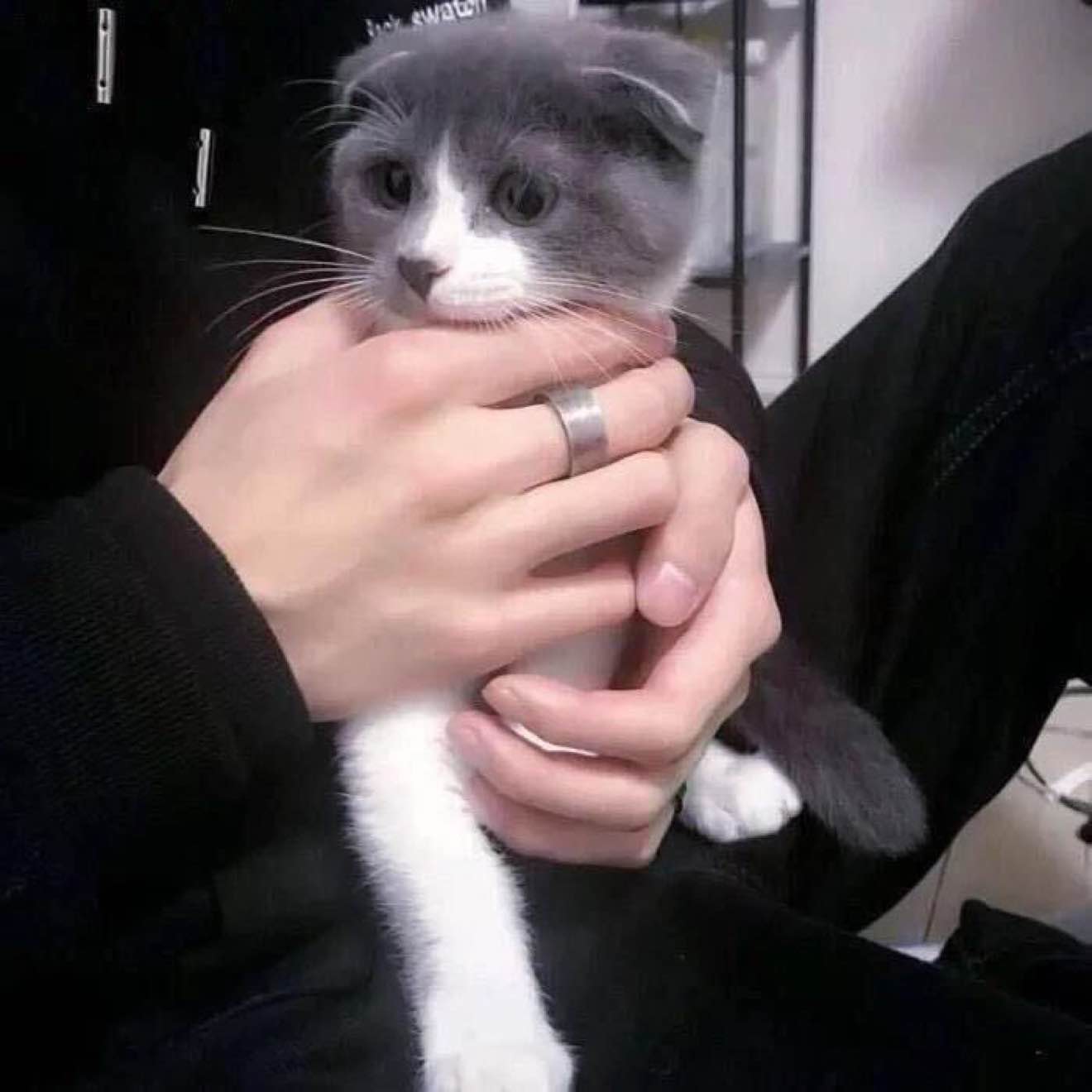 SmallKelpOrder