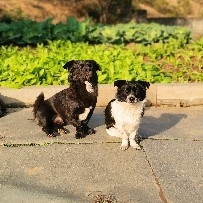 Fluctuating around $SOL , market uncertainty persists, showing mixed momentum. The latest data indicates strong resistance around $86 to $94, while key support remains near $80. Institutional sentiment has weakened, with reports of significant ETF fund outflows, increasing selling pressure in the short term. Analysts warn of a potential "consolidation trap"; if resistance levels are not broken, prices may decline again. However, Solana still achieved a modest weekly gain, reflecting a broader crypto market recovery. Overall, SOL remains highly volatile, with downside risks and rebound potential depending on market conditions.