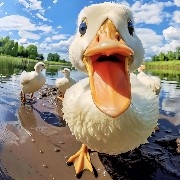 $PI Blocked all those brainless, delusional idiots so I don't have to see them