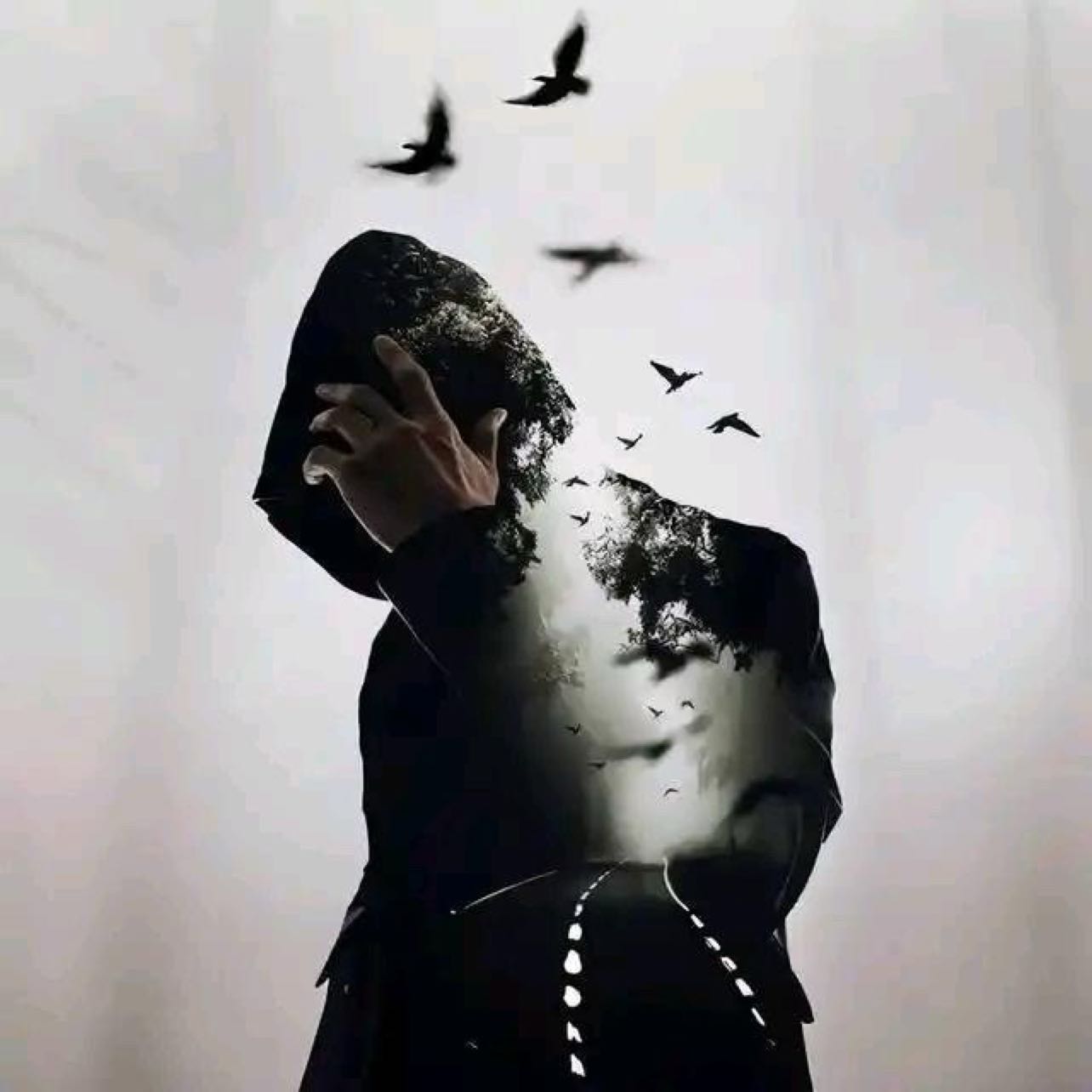 $PI  Can't I comment anymore? Why can't I see the comments?