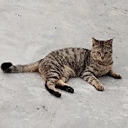 $PI  is a cryptocurrency with the second-highest popularity across the entire network, alongside Bitcoin!