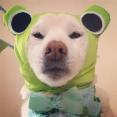 Unexpected Small Non-Farm Surprise, Short Positions Profited Again! 1.8 Bitcoin Auntie Strategy
US December ADP employment increased by 41,000, below the expected 50,000, indicating that the labor market's momentum is slowing as we approach 2026. Notably, small businesses have resumed hiring, while large corporations are contracting. As a result, US stocks surged then sharply retreated, and the coin prices did not follow the rally. The short position strategy given yesterday earned big profits, with Bitcoin gaining nearly 2,000 points and Ethereum over 100 points!
Bitcoin Auntie daily chart closed bearish but did not break below the 60-day moving average. Bollinger Bands are narrowing significantly, the KDJ indicator at the top has turned downward forming a death cross, and MACD volume is continuously shrinking. The overall trend is leaning towards bearish, so the rebound shorting strategy remains unchanged. This week’s main focus is still on Friday’s big Non-Farm Payroll report!
1.8 Short Position Strategy:
Bitcoin at current price 92,200-92,800, conservative traders enter at 93,500-94,000, with a stop around 95,000. Target near 91,500-91,000, and if broken, look at 90,500-90,000. Continue to move stop-loss as needed based on market situation!
Ethereum at current price 3,220-3,260, conservative traders enter around 3,300, with a stop near 3,350. Target near 3,150-3,130-3,100, and if broken, look at 3,050-3,000. Continue to move stop-loss as needed based on market situation!
1.8 Long Position Strategy:
Bitcoin retraced to 89,000-89,500, buy one lot, with a stop around 88,000. Target near 90,000-90,500-91,000. If broken, look at 91,500-92,000. Continue to move stop-loss as needed based on market situation!
Ethereum retraced to 3,020-3,050, buy, with a stop around 2,960. Target near 3,100-3,140-3,170. Continue to move stop-loss as needed based on market situation!
The short strategies given yesterday and the day before yesterday performed as expected, with two big wins. Although the small non-farm surprise was unexpected, it’s possible that the big non-farm report might produce a false data point to influence coin prices again. So everyone should pay close attention to the upcoming non-farm data! #MemeCoinMarketRebound