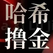HD黑洞哈希撸金