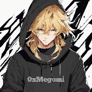 0xMegumi