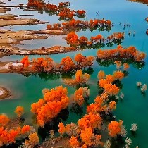 User_actionbeautiful