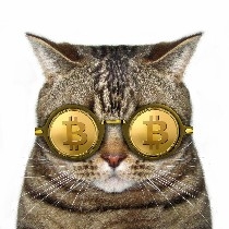 Quantitative indicators have completed the final version update and are now available for free. They only perform trend-following trades, with the system automatically opening orders in a unidirectional market. Crude oil signals have accumulated a 50% increase, and gold/BTC long and short signals have a very high win rate.  
Click the top right corner to join the fan group.