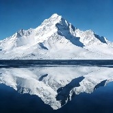 JinjiangPubliclyDiscusses