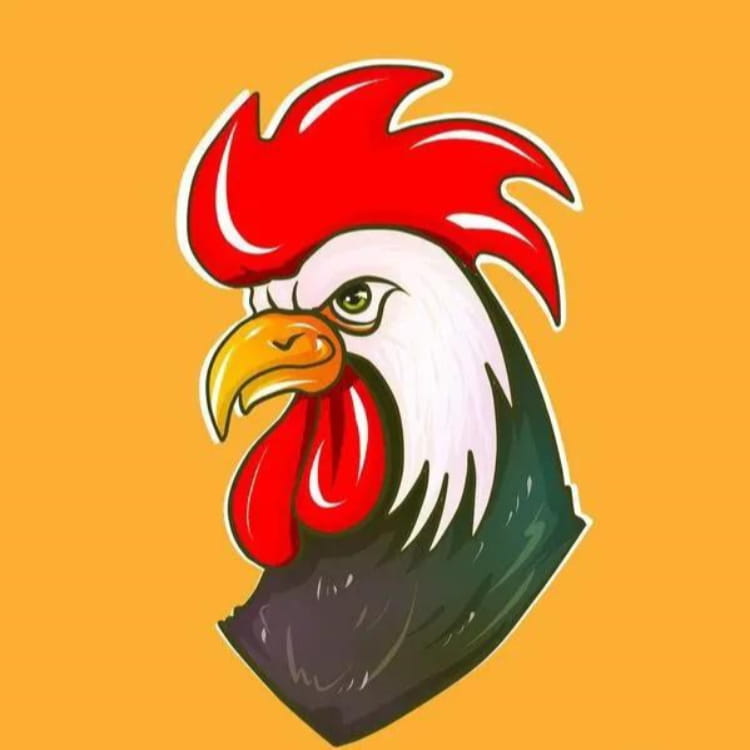 短线高手鸡哥_