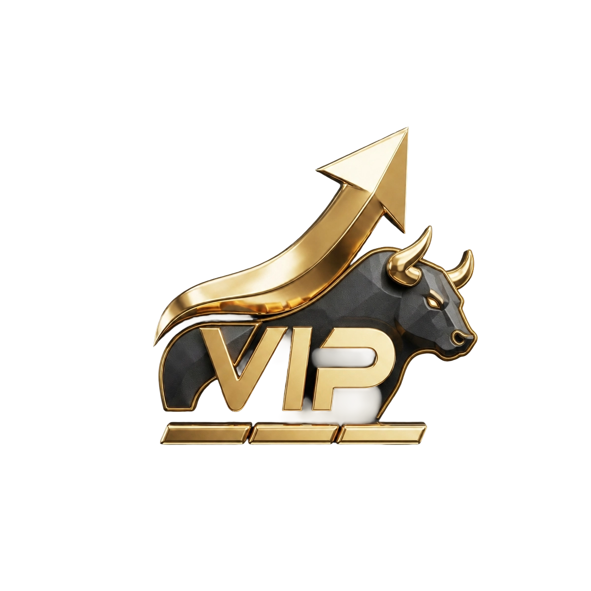 VIP-Stock-Asset-Assistance-Project
